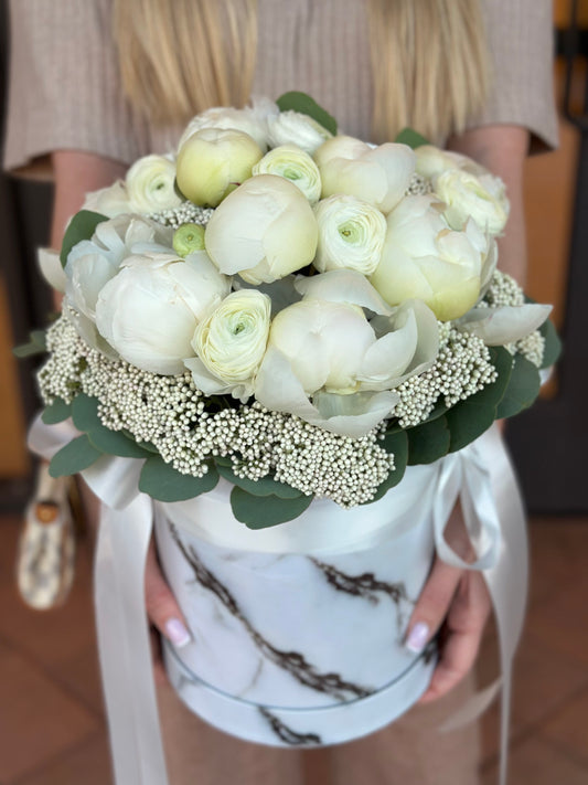 White Dream